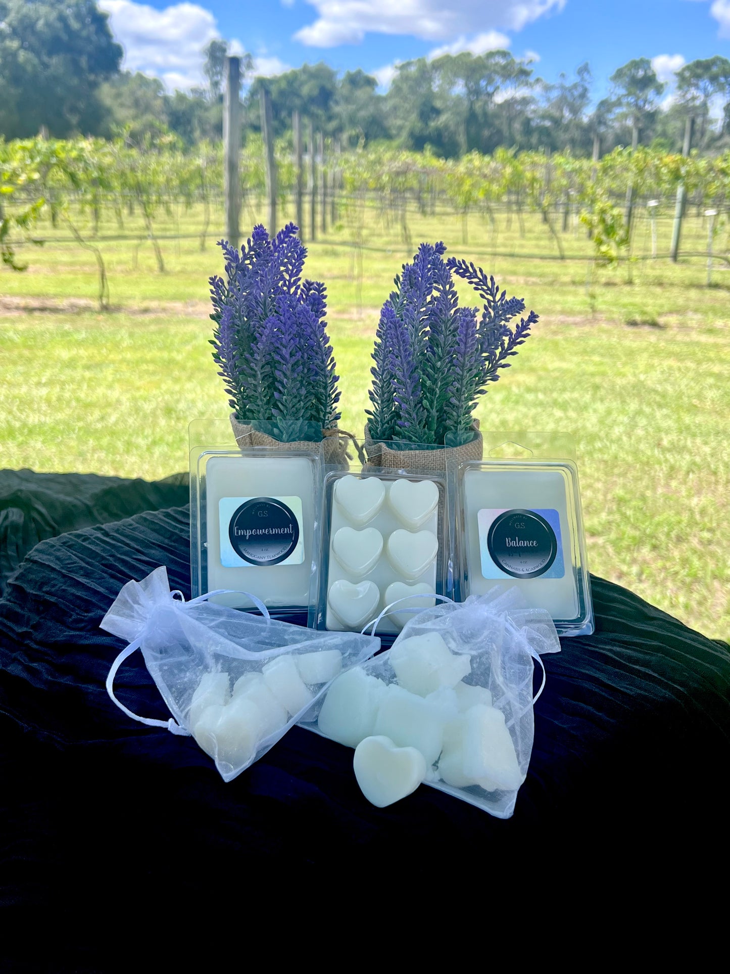 Wax Melt & Warmer Bundle